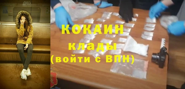 сатива Гусев