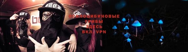 герыч Гусь-Хрустальный