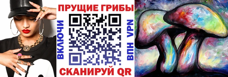 Псилоцибиновые грибы MAGIC MUSHROOMS  MEGA ссылки  Фатеж 
